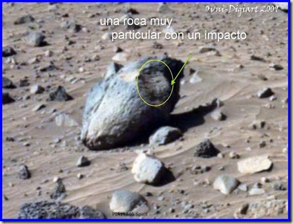 impacto y animal_1 impacto y animal_1